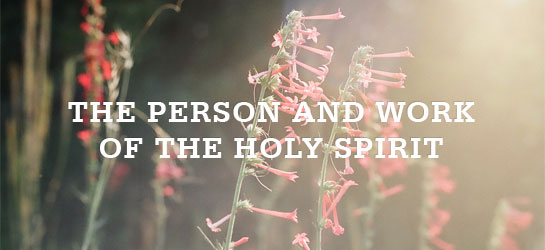 Understanding the Holy Spirit: Who He is and His Work