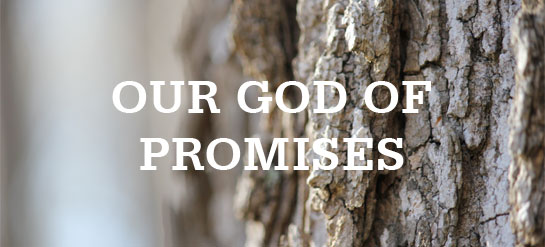 20130708_promises