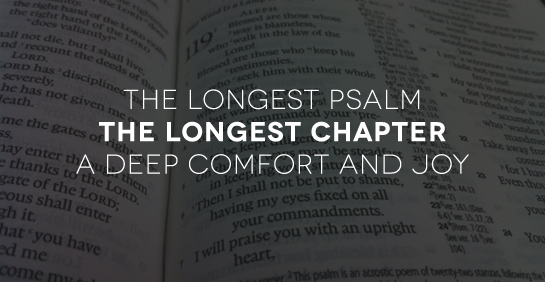 The Longest Psalm: The Longest Chapter A Deep Comfort And Joy 1